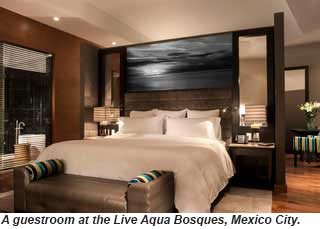 Live Aqua Bosques guestroom