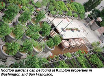 Rooftop Gardens Kimpton