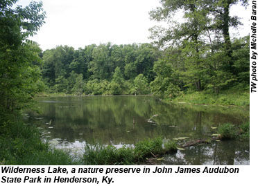 Wilderness Lake, John James Audubon State Park