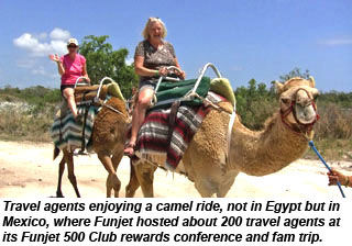 Agents in Mexico on camels