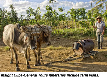 Cuba farmer