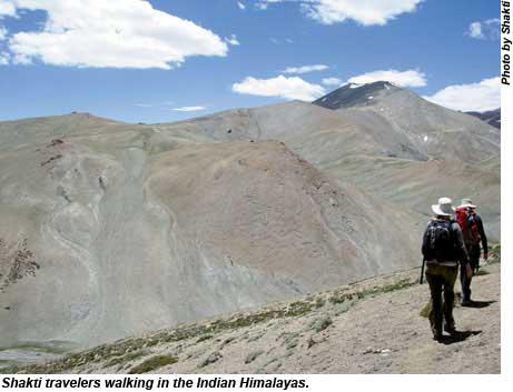 Shakti travelers walking in the Indian Himalayas.