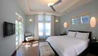 Cotton Tree