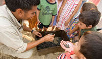 ESPERANZA TURTLE