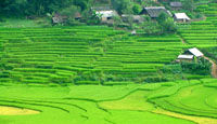 SAPA VIETNAM