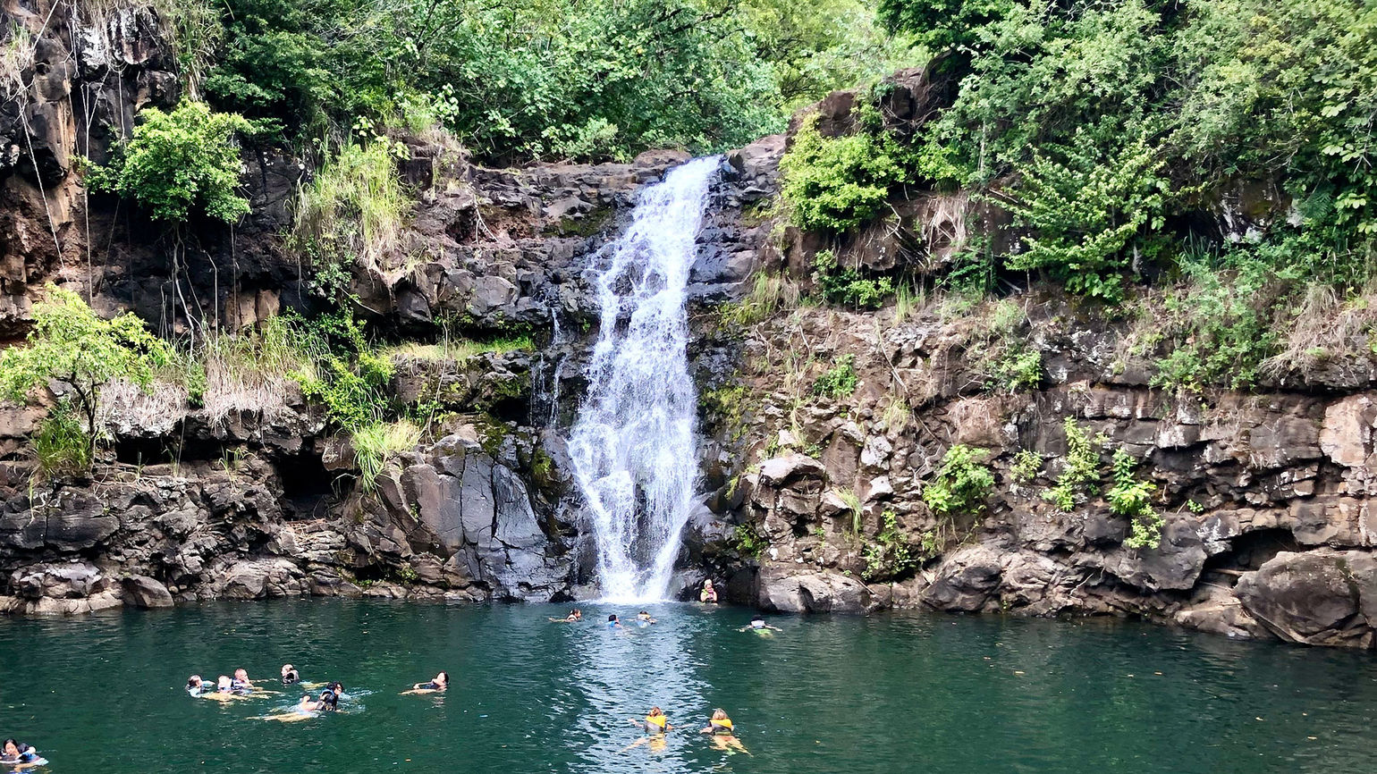 waimea valley field trip