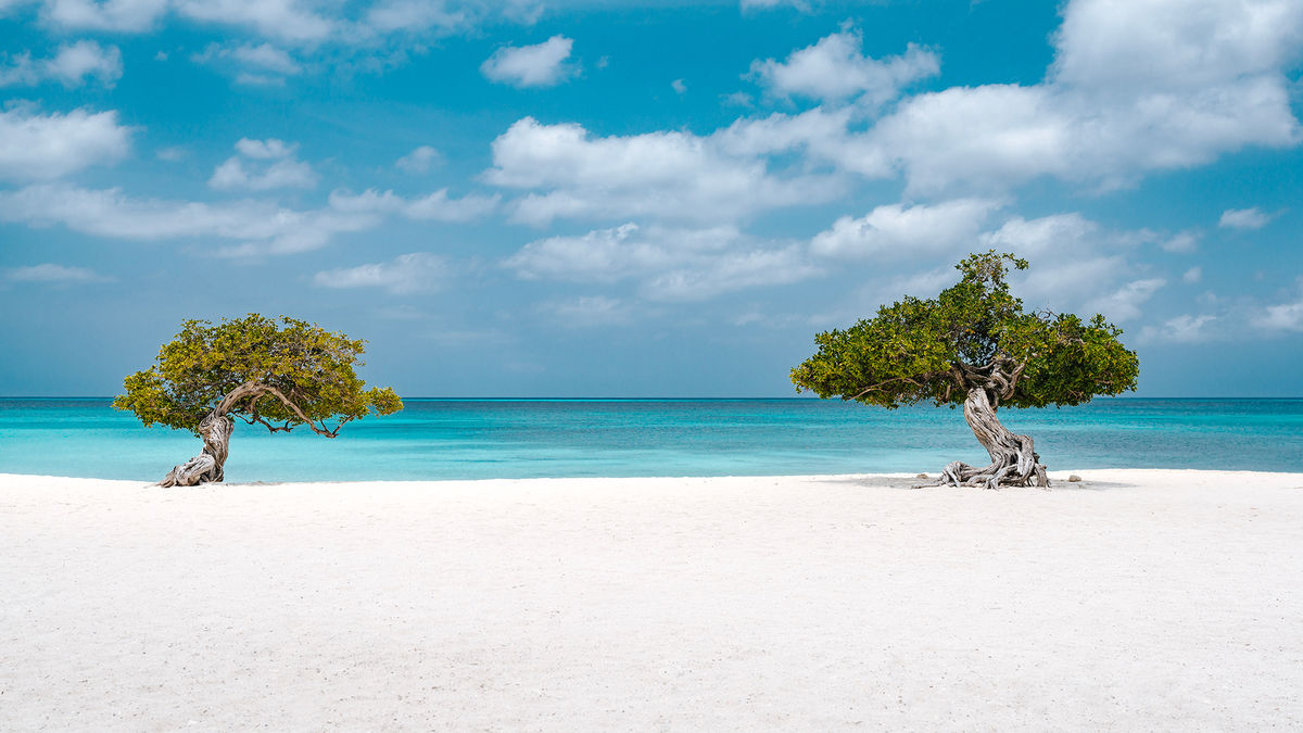 Aruba implements sustainability fee