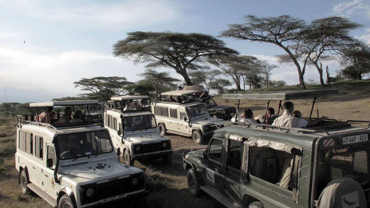 Driving Safety and the Importance of High-Performance Serengeti