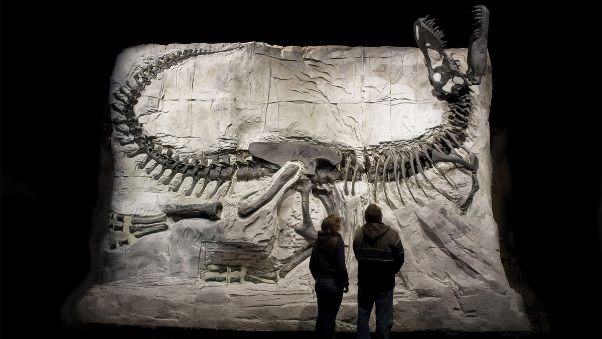 Dinosaur Trips launches with paleontology-focused tours