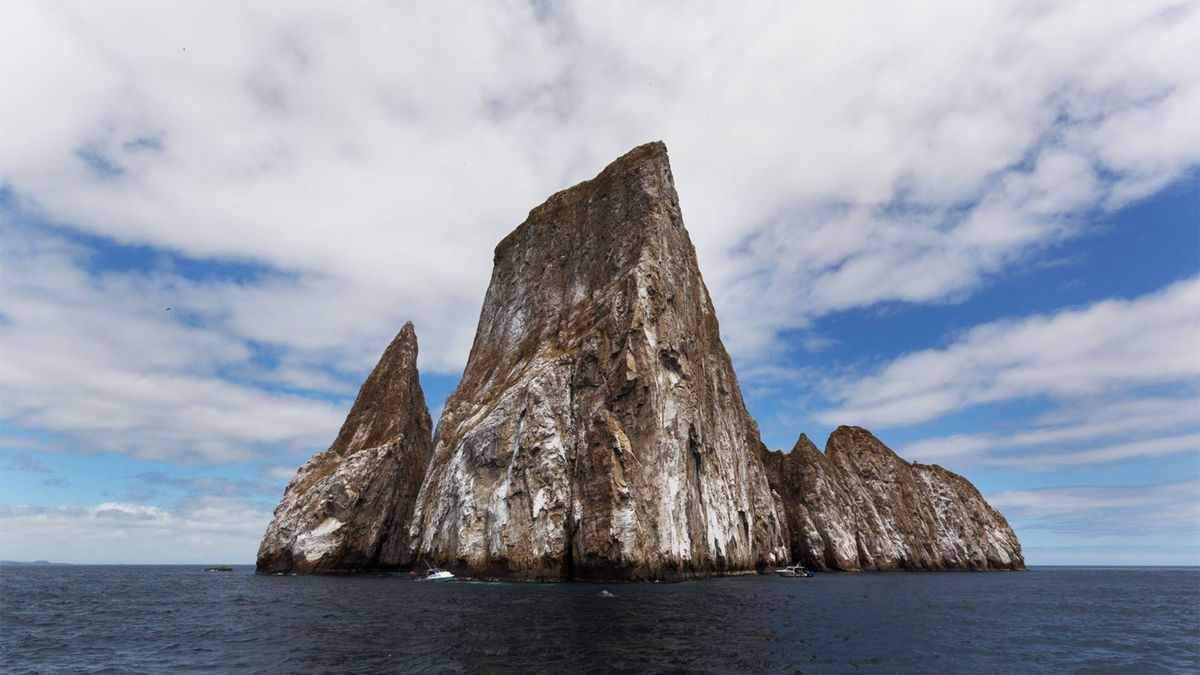 Possible AI causes closure of two areas in Galapagos Islands