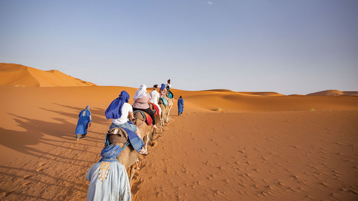 Small groups are a big hit for tour operators: Travel Weekly