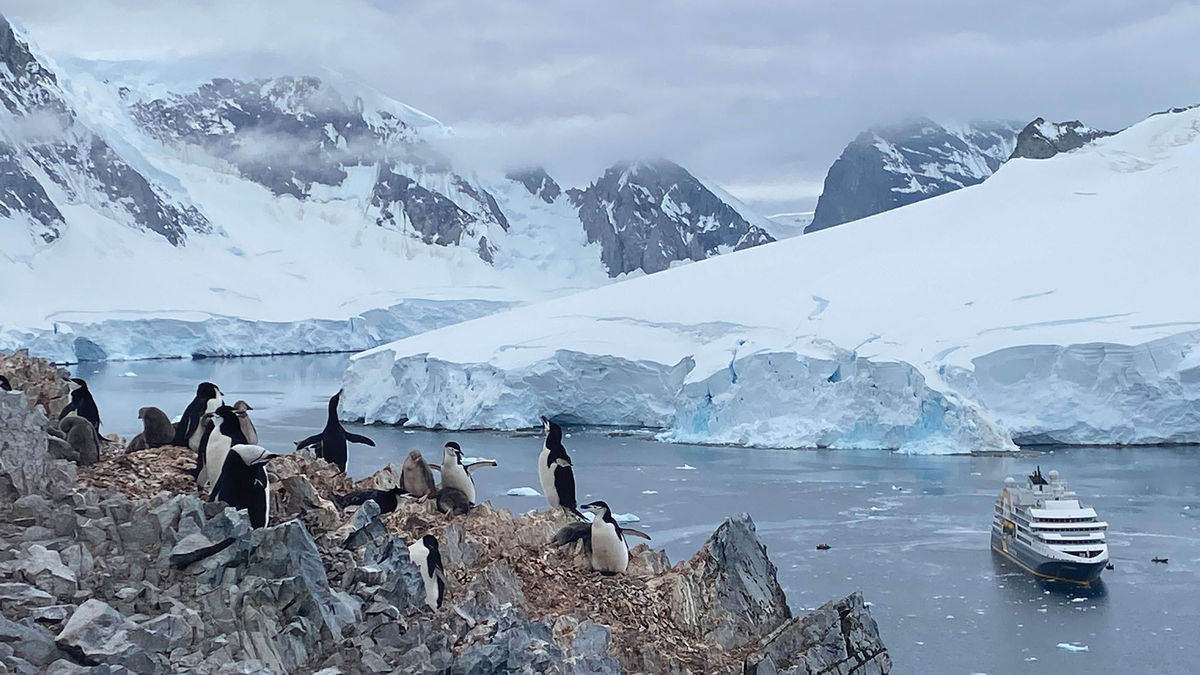 Quark Antarctica sailing entertains and educates