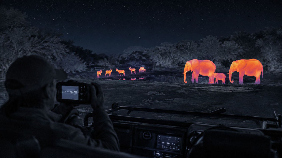 Tintswalo Collection introduces safari after dark activities