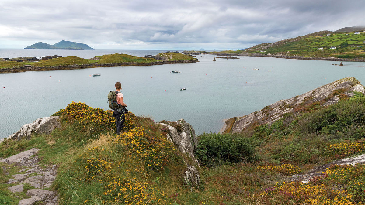 Experiencing Ireland, one step at a time