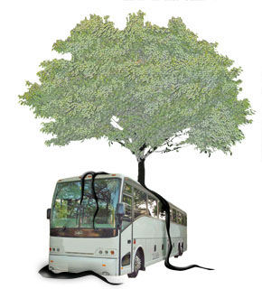 MONEYTREE