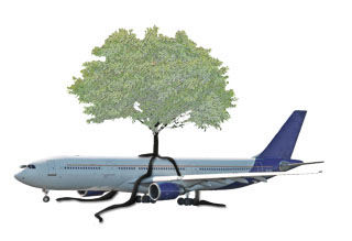 PLANETREE