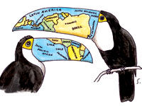 Latin America hotels