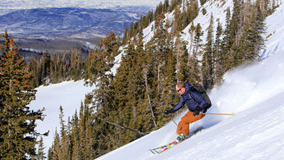 Skier
