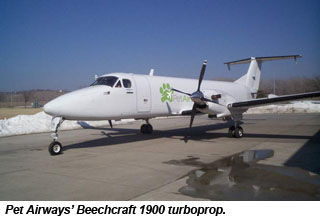 PetAirwaysPlane