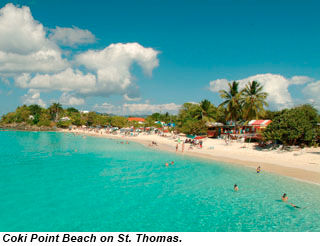 Coki Point Beach
