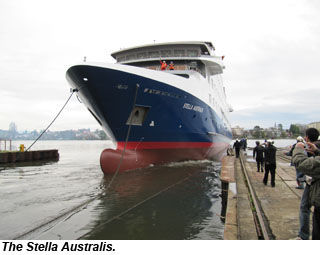 Stella Australis