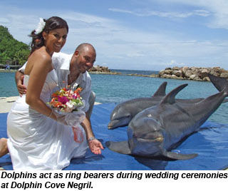 Dolphin Cove Negril
