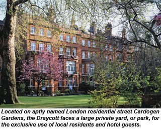 The Draycott