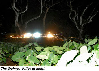 Waimea Valley at night