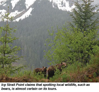 Icy Strait Point bears