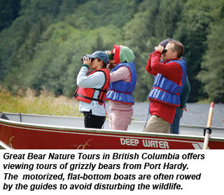 desto070208bears1