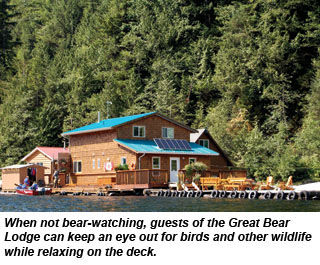 desto070208bears1