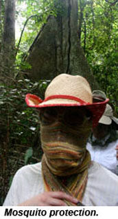 PERU-MBmosquito