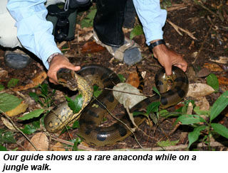 PERU-anaconda
