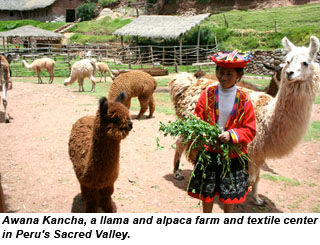 PERU-llama