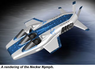 NeckerNymph