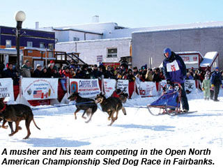 Alaska-Fairbanks-DogSledTeam
