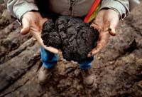 JeffRubTarSands