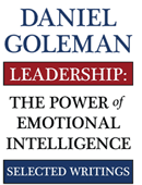 EIbookcover