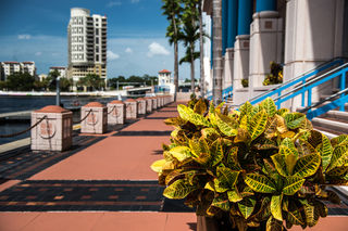 Tampa Convention Center