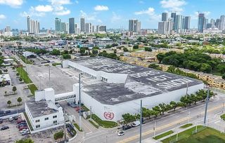 Mana Wynwood