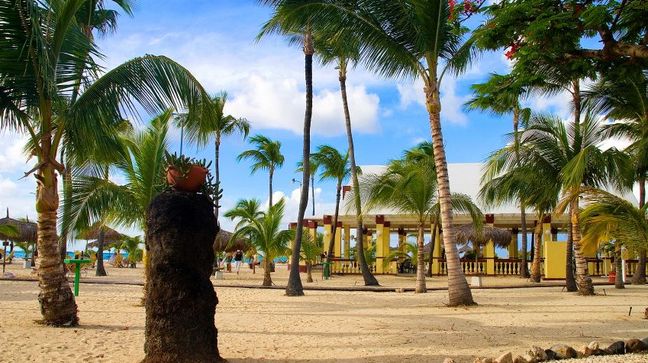 Eagle Beach, Aruba Hotels