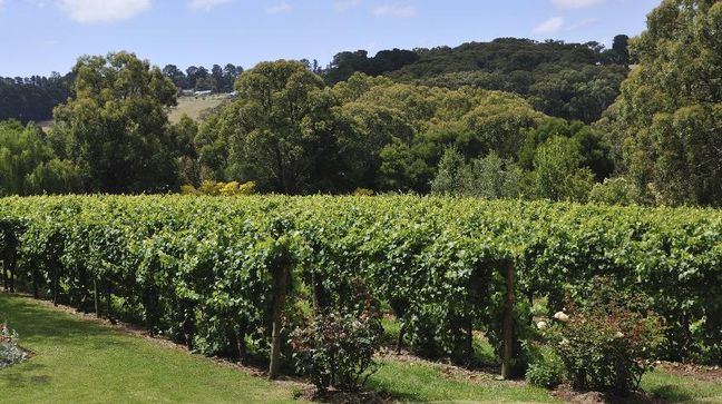 Barossa Valley, South Australia, Australia Hotels