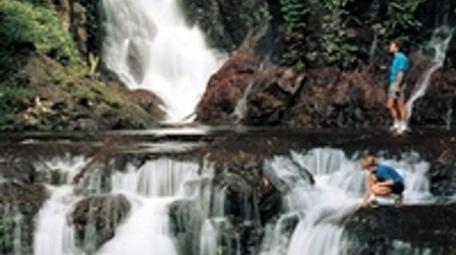 Canungra, Queensland, Australia Hotels