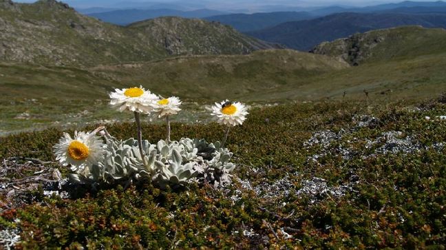 Kosciusko National Park, New South Wales, Australia Hotels