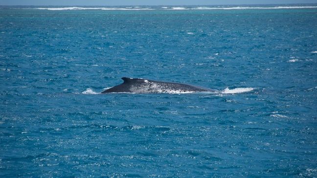 Ningaloo Reef, Western Australia, Australia Hotels