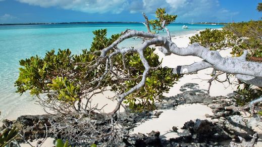 Andros Island, Bahamas