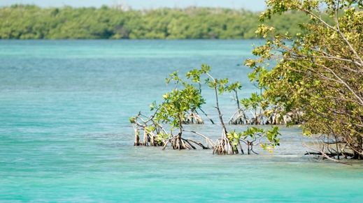 Caye Caulker, Belize