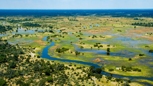 Okavango Delta, Botswana