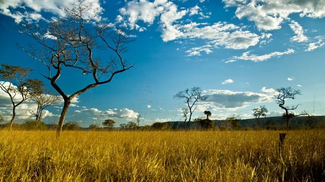 Emas National Park, Brazil Hotels