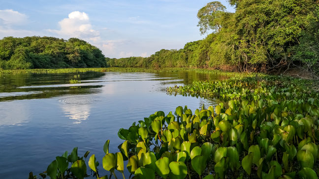 Pantanal, Brazil Hotels